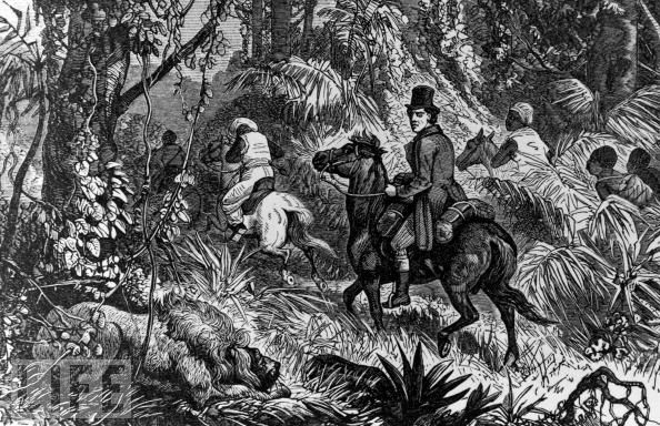 Mungo Park From LIFE.com "Scottish explorer Mungo Park (1771-1806), who explored the Niger River in Africa, on horseback encountering lion in jungle."