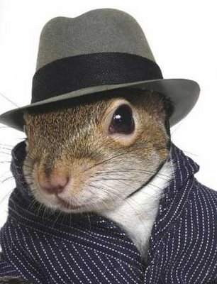 spy-squirrel.jpg